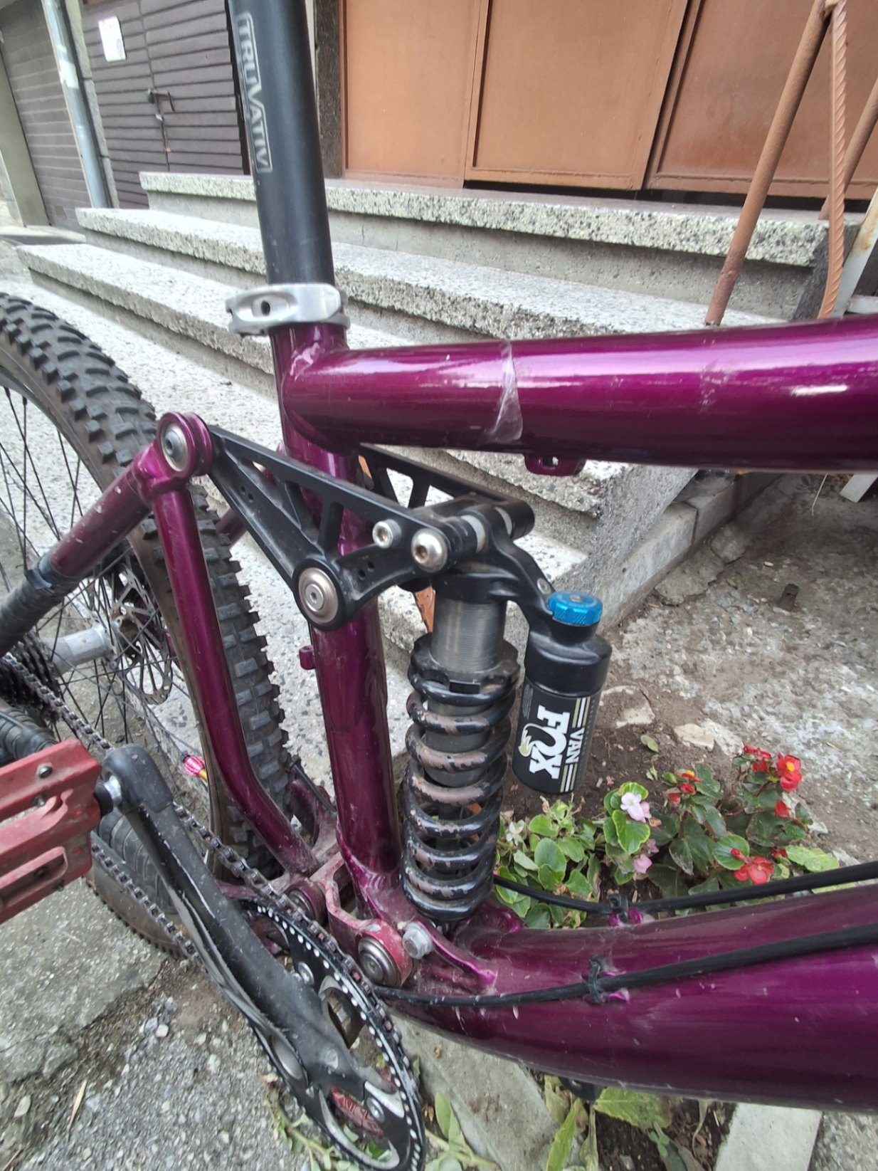 Bike view 5