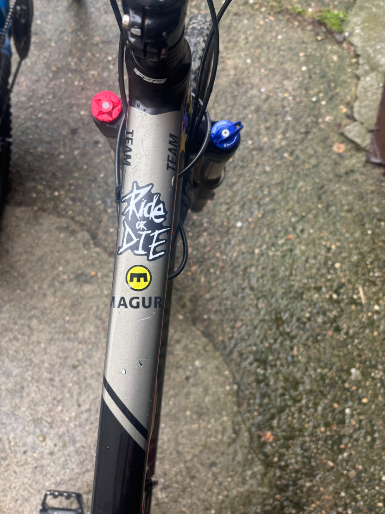 Bike view 5