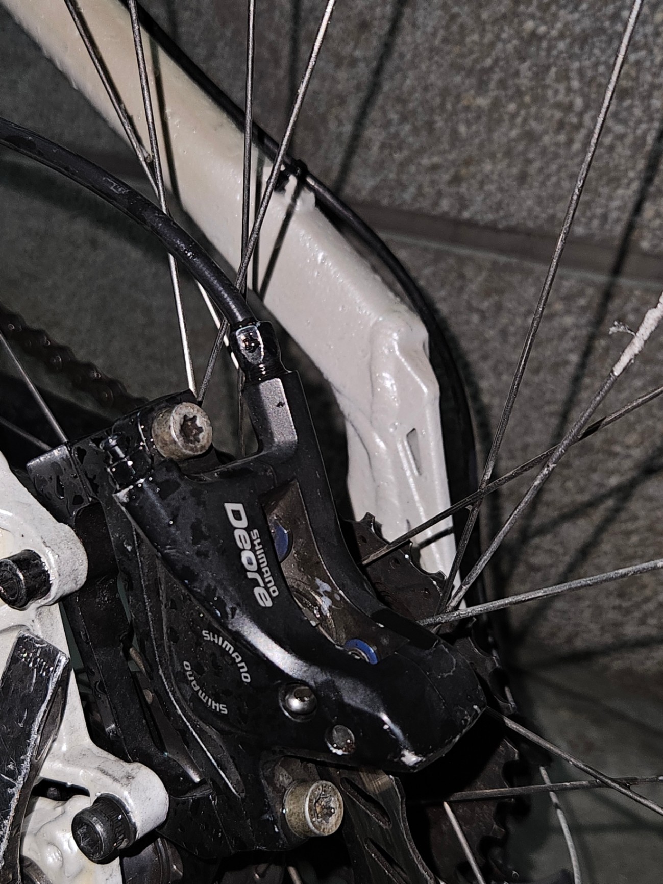 Bike view 6