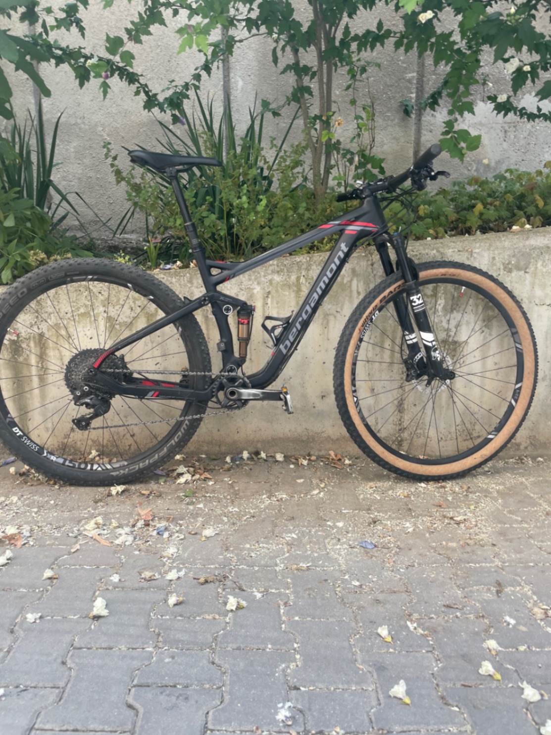 Bike view 2