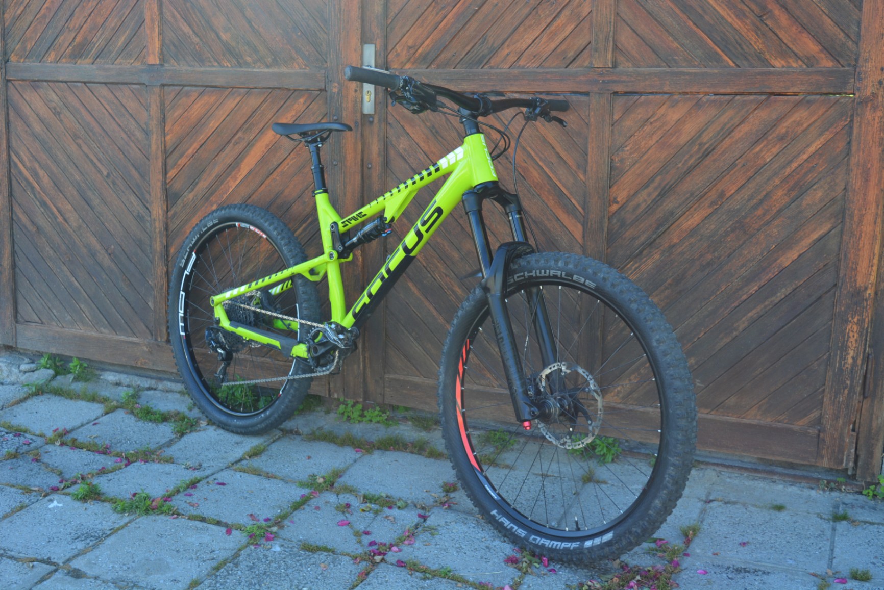 Bike view 9