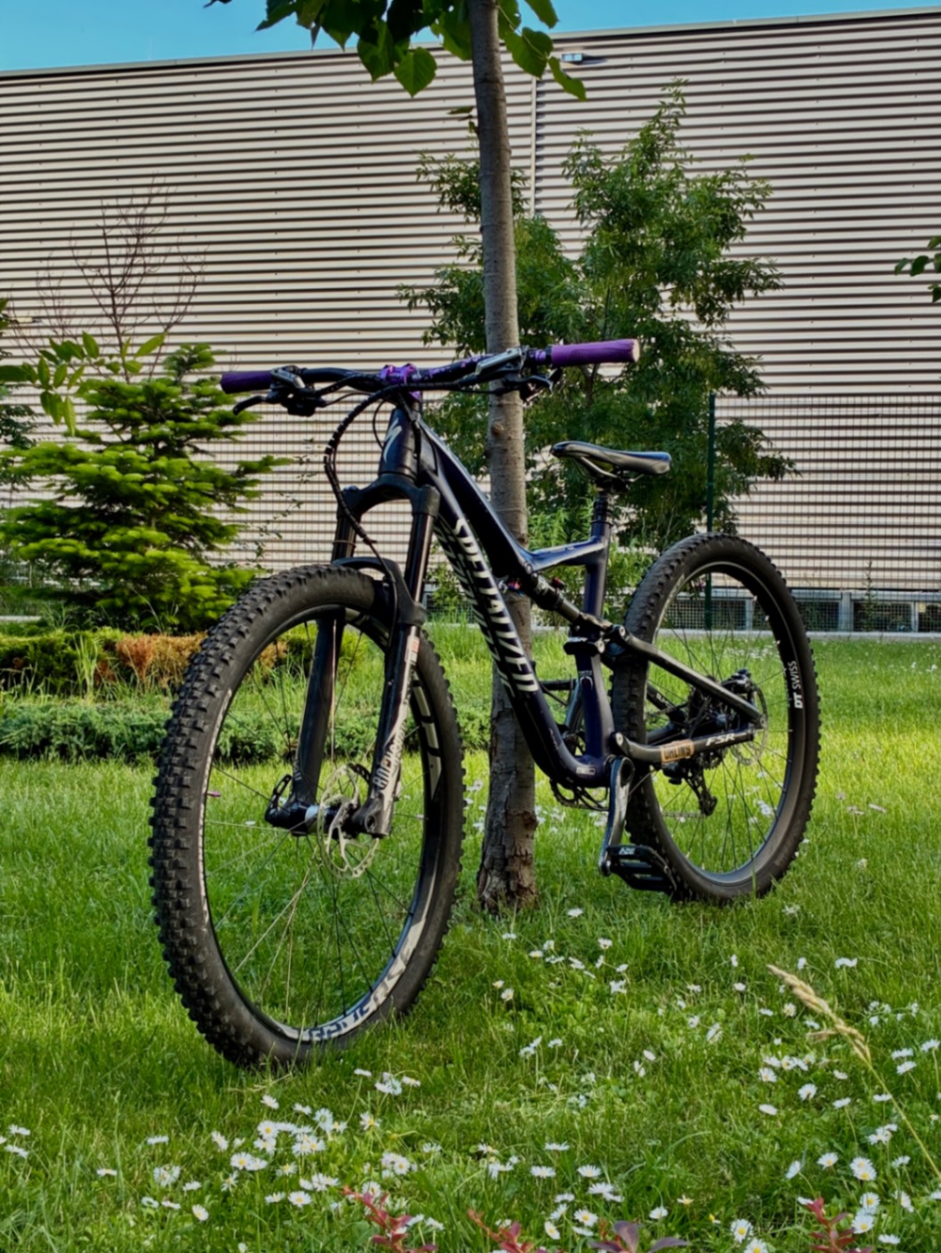 Bike view 7