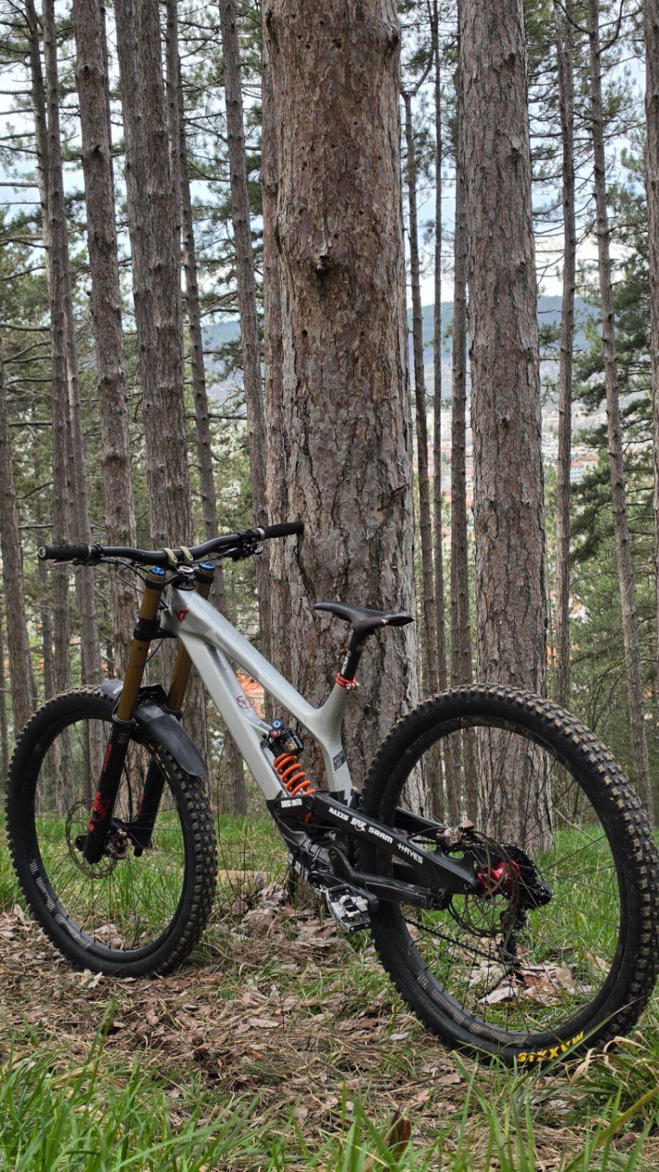 Bike view 8