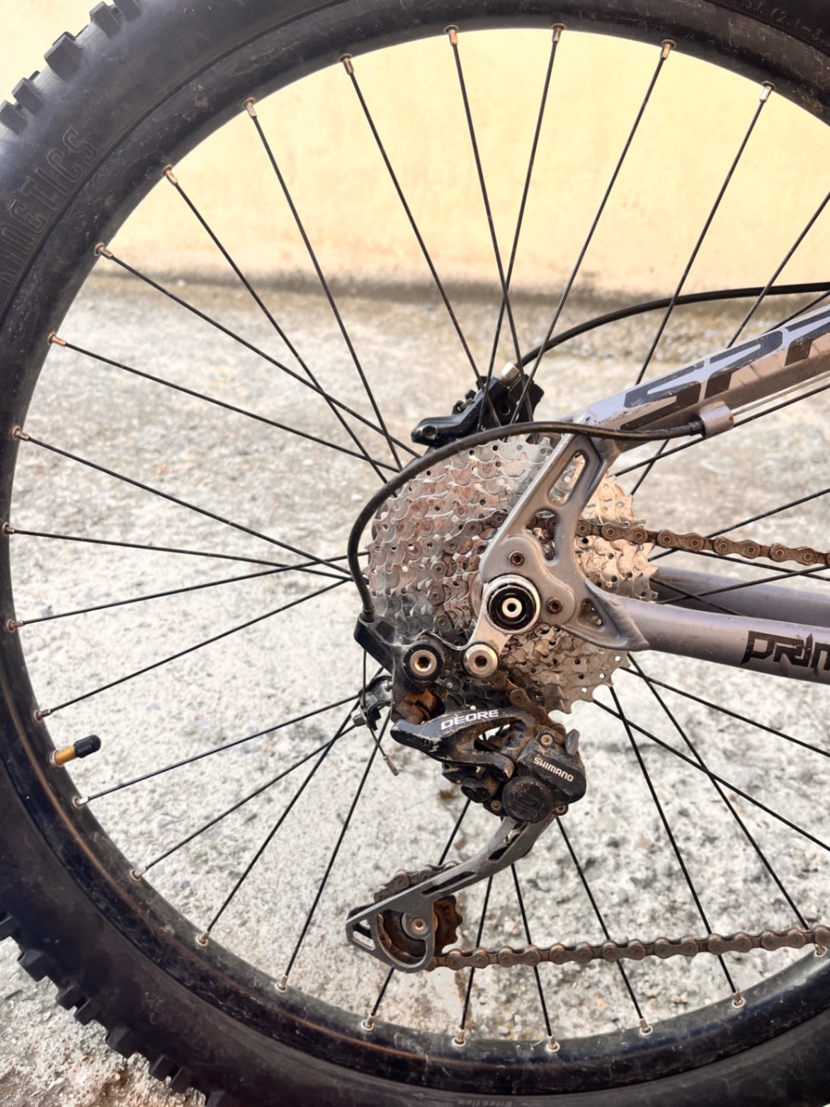 Bike view 5