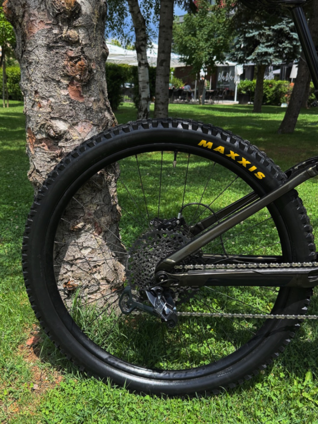 Bike view 6