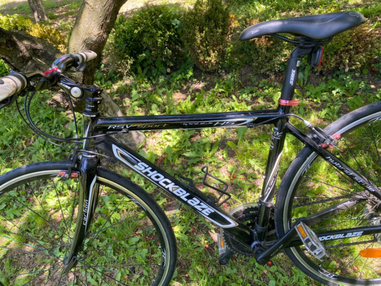 Bike view 10