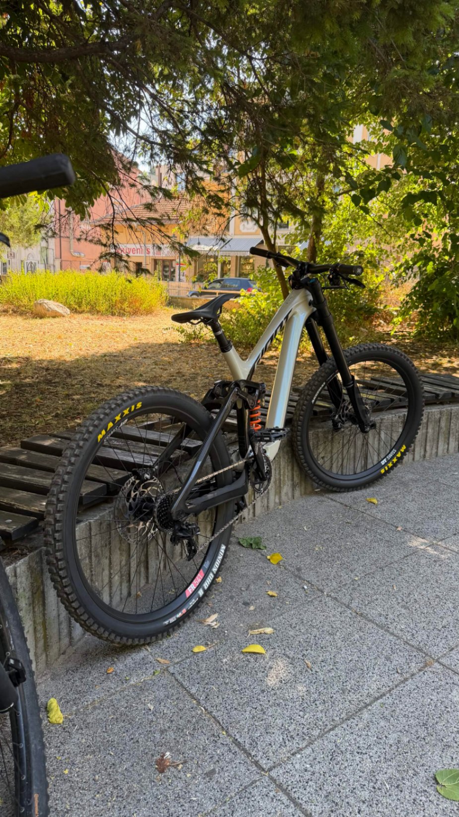 Bike view 10