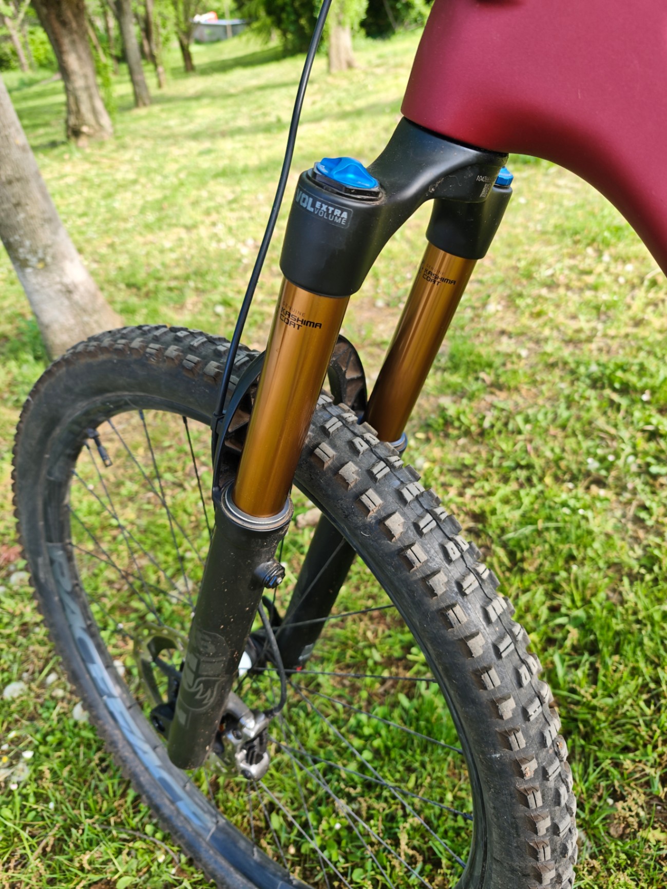 Bike view 7