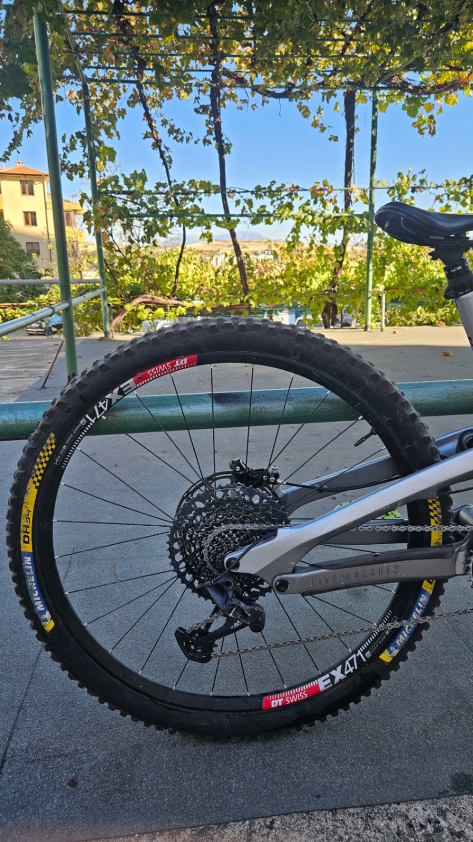 Bike view 11