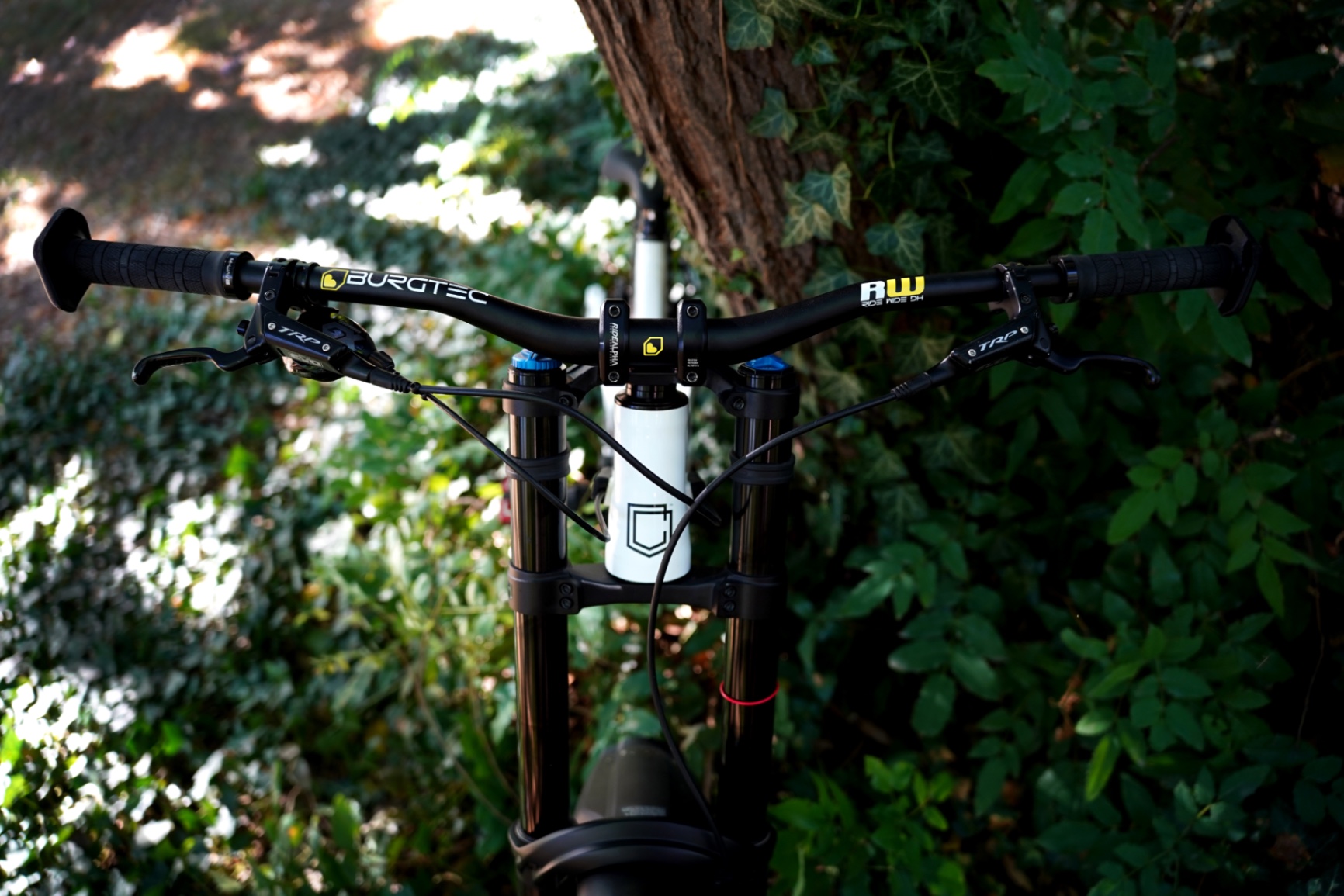 Bike view 11