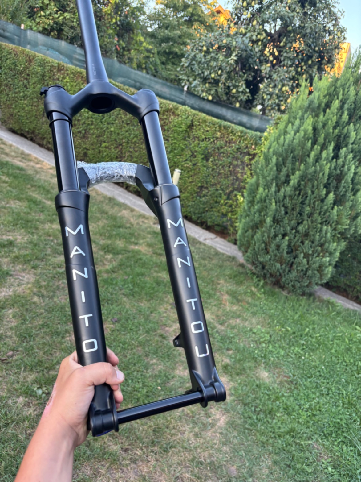 Bike view 6