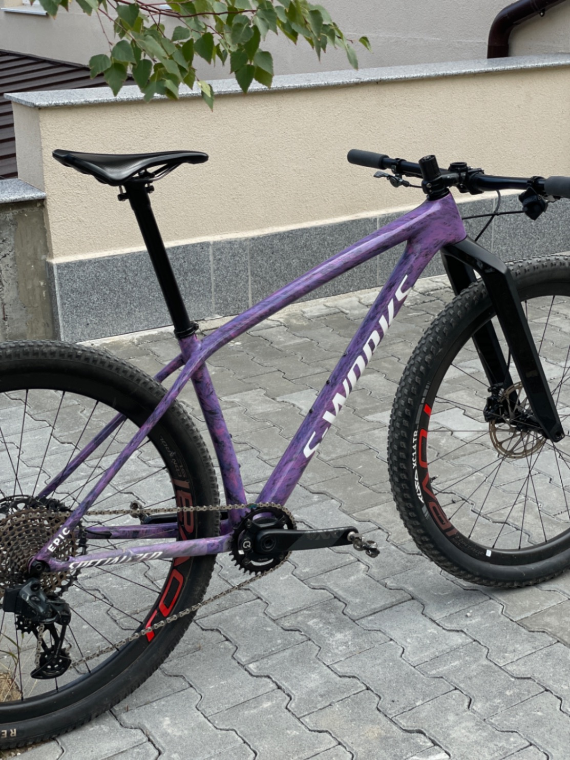 Specialized Epic S-Works AXS view 11