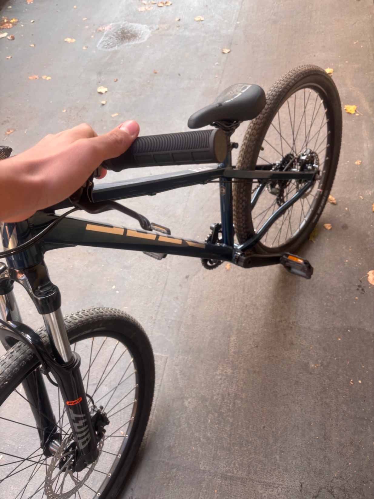 Bike view 5
