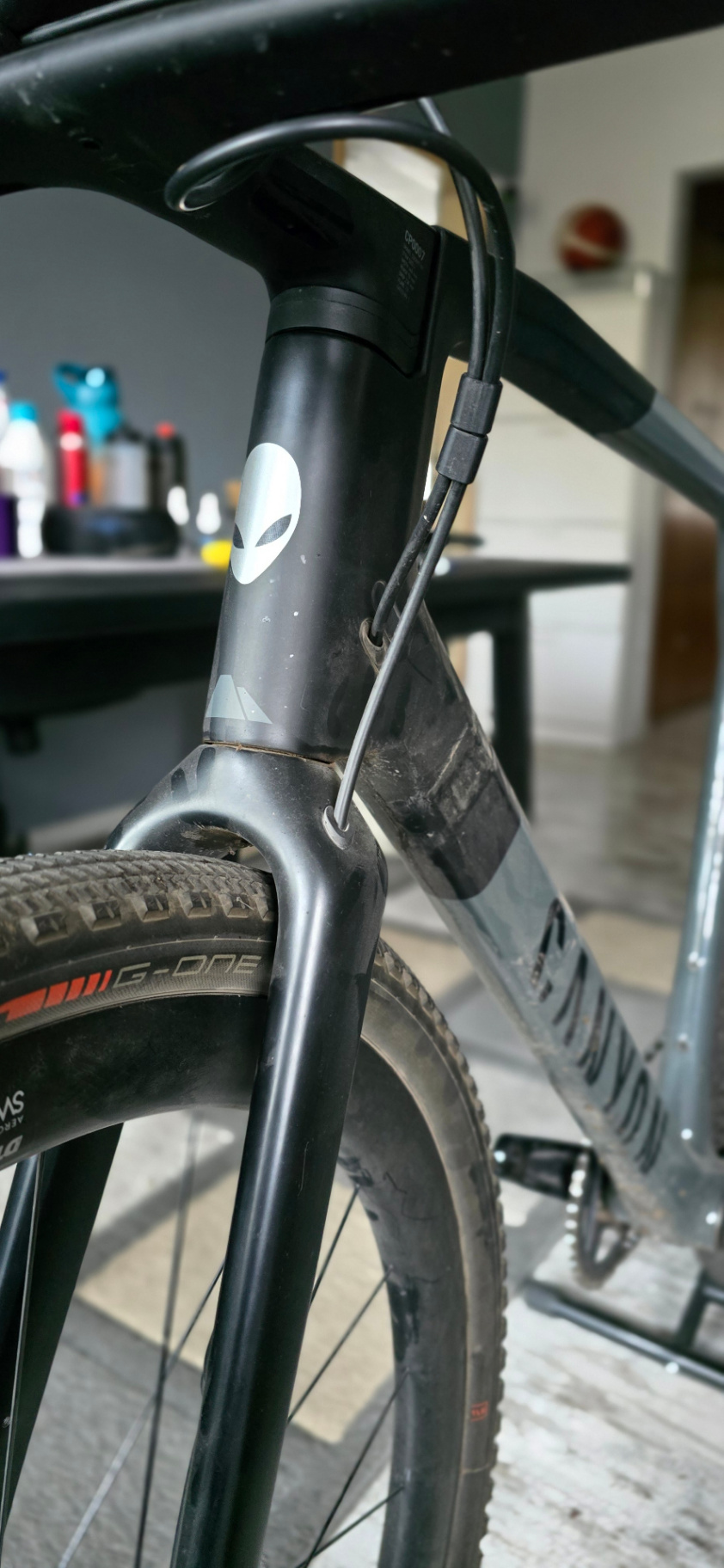 Bike view 4
