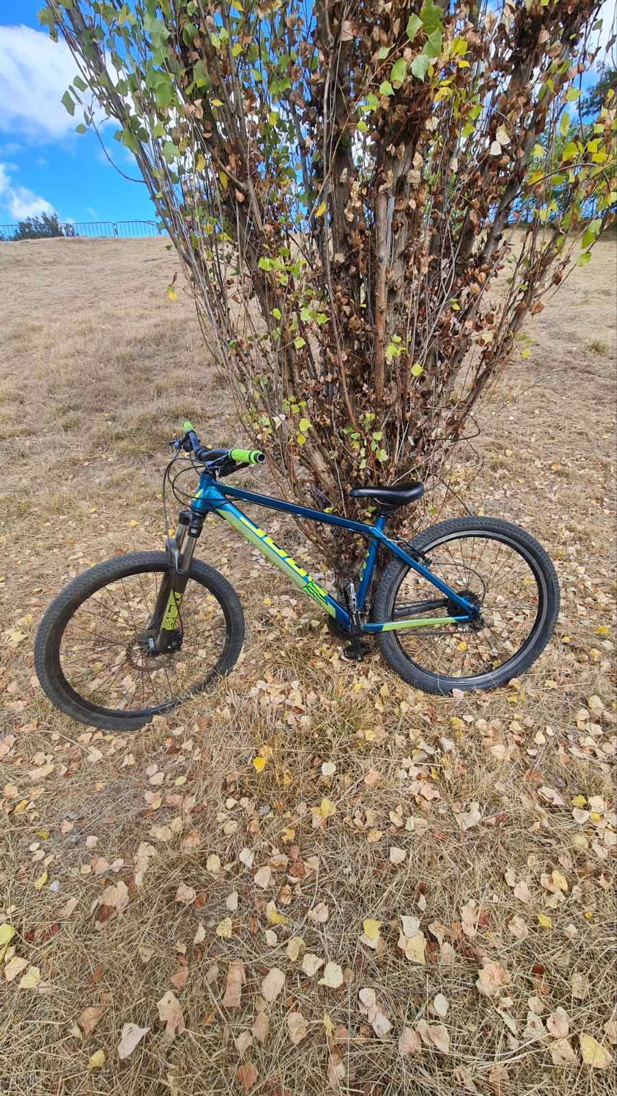 Bike view 7