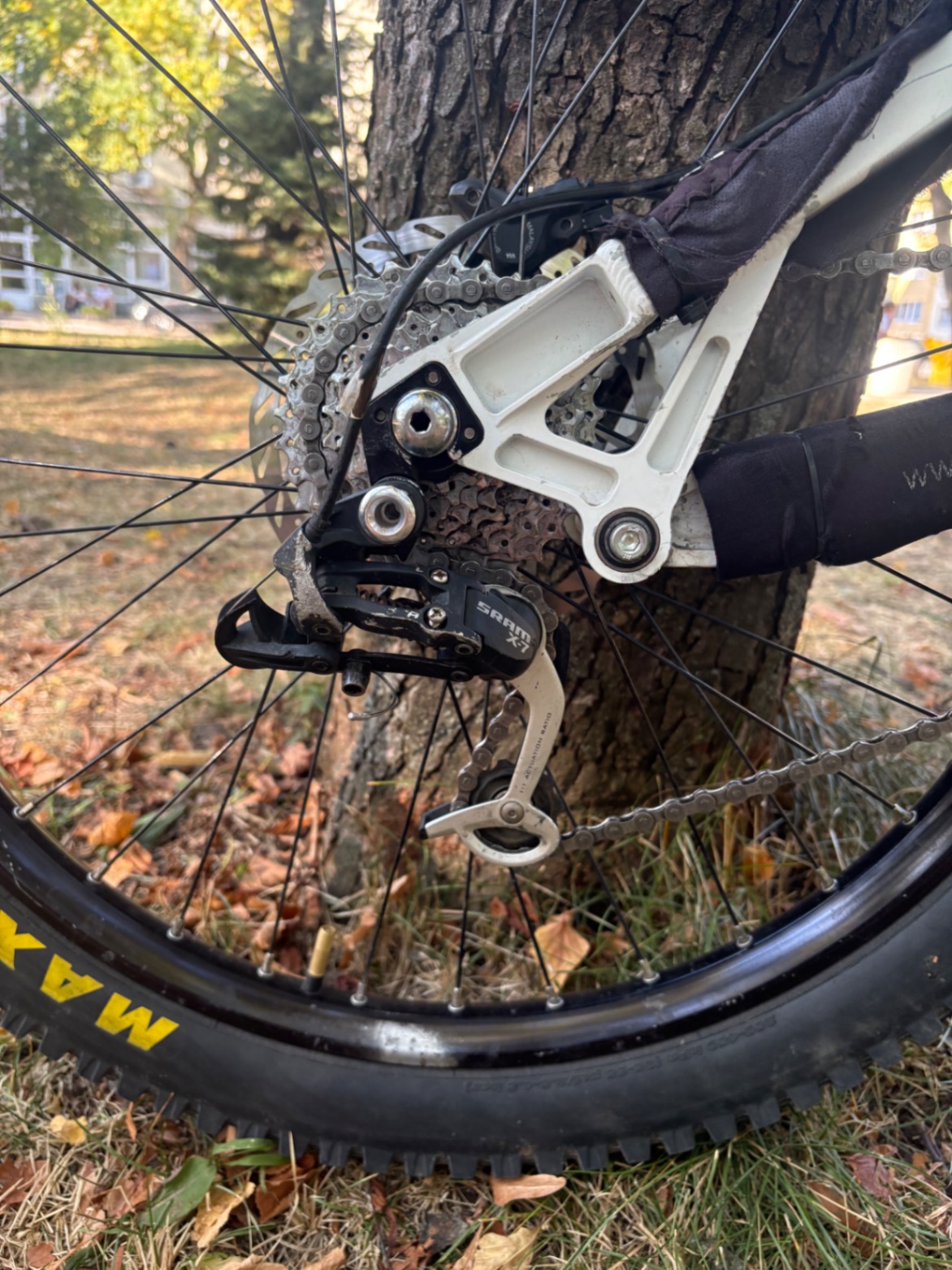 Bike view 6