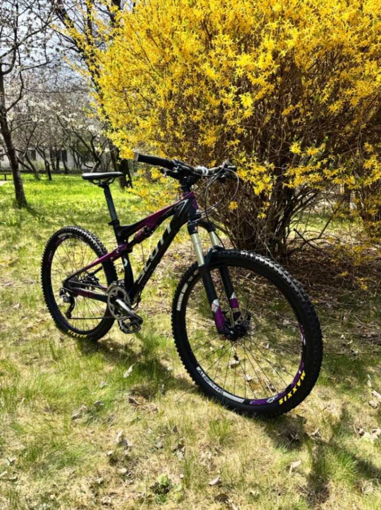 Bike view 2