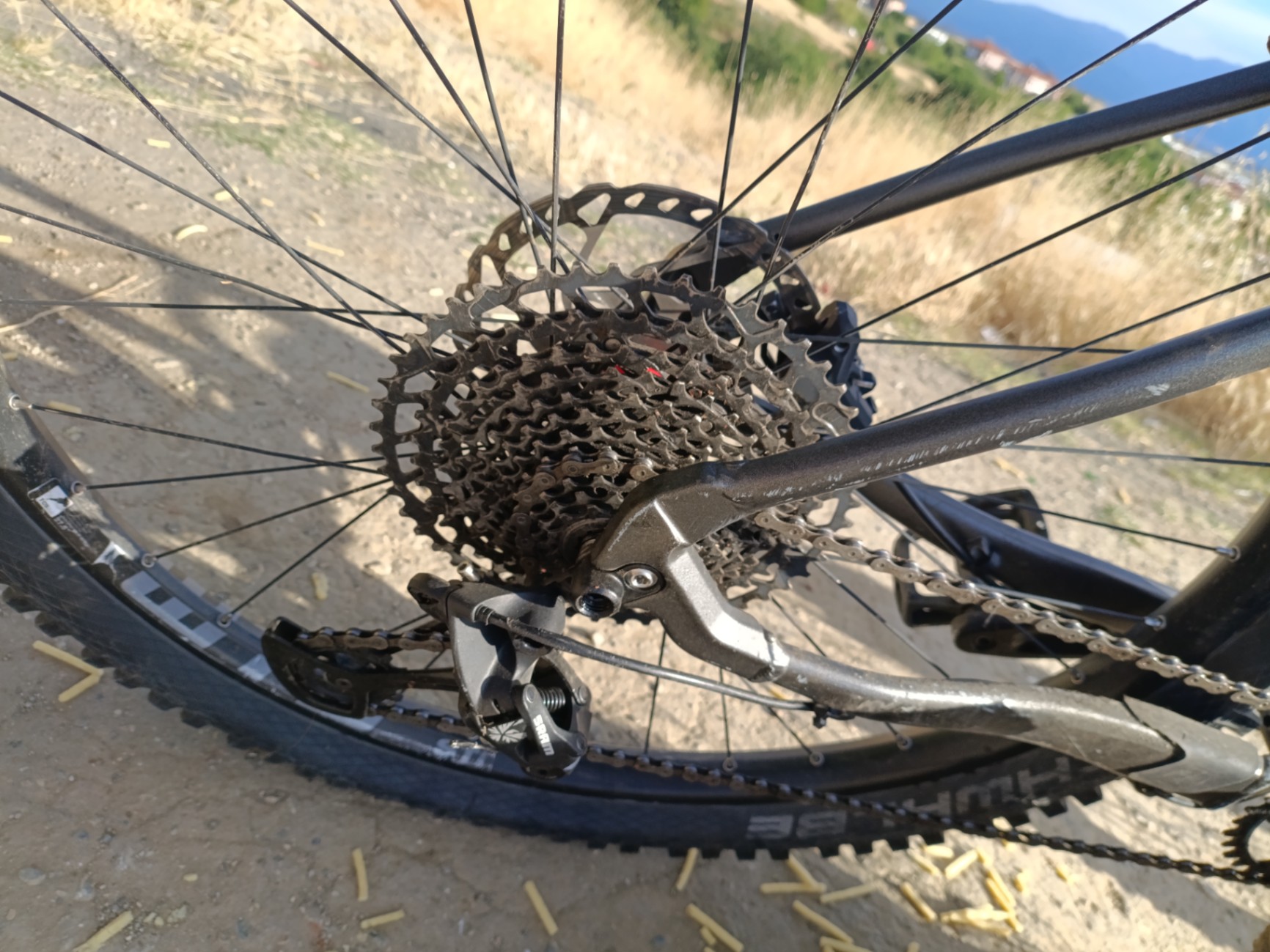Bike view 6