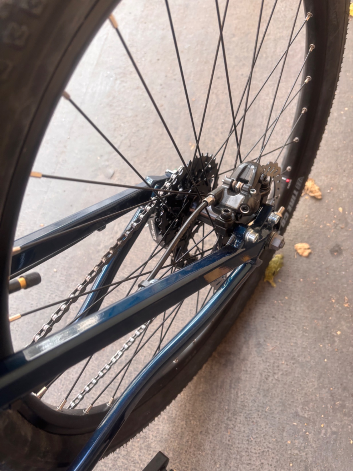 Bike view 6