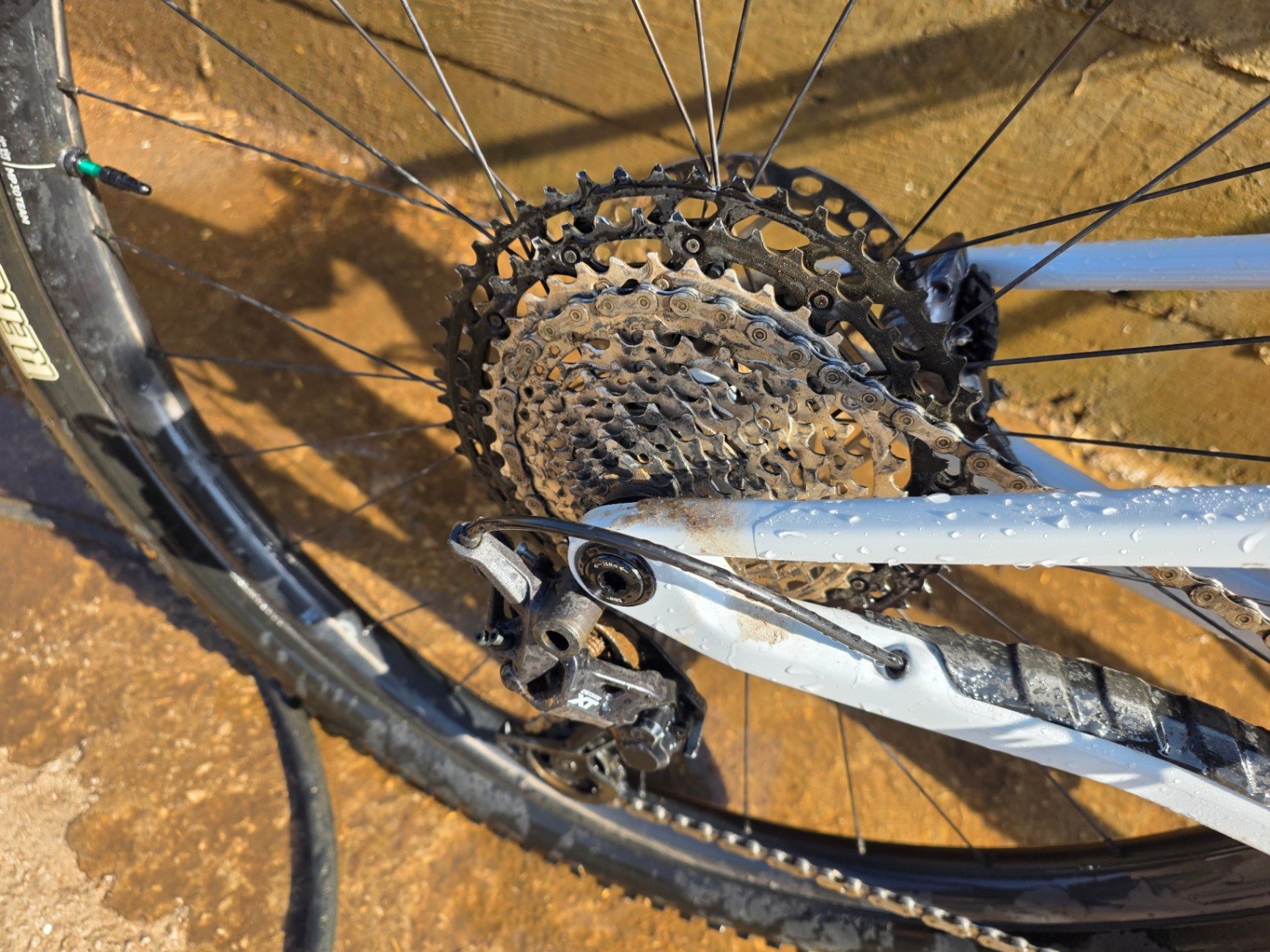 Bike view 4
