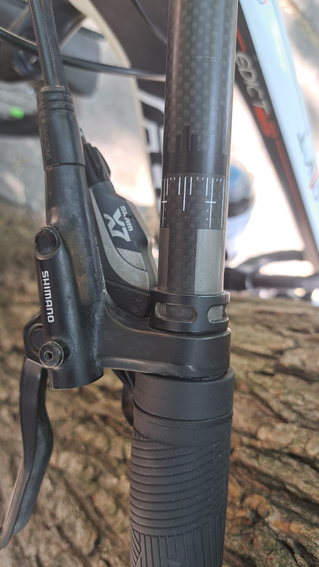 Bike view 9