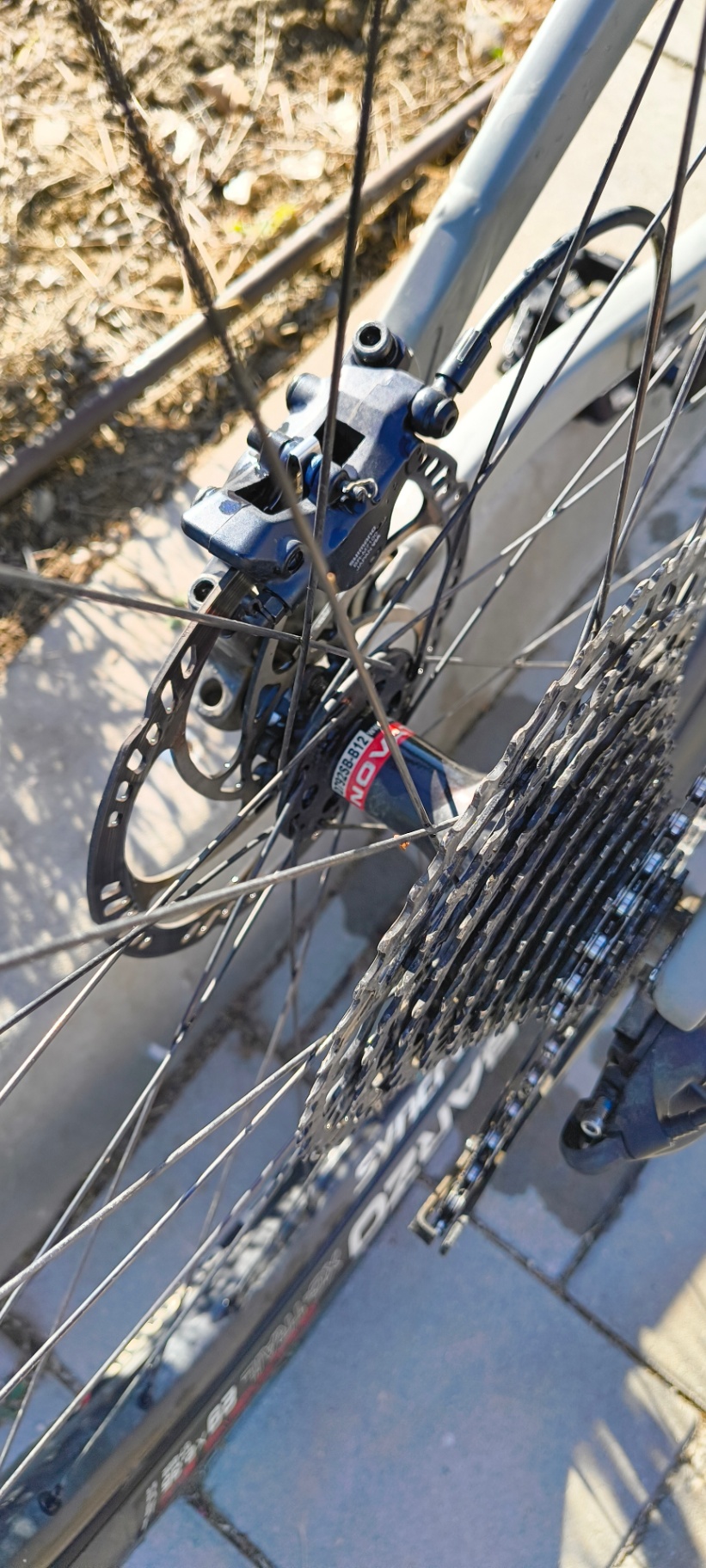 Bike view 7