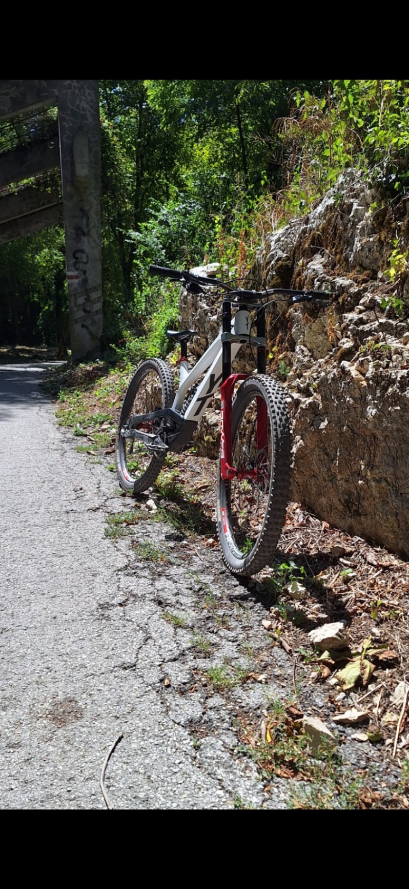 Bike view 5