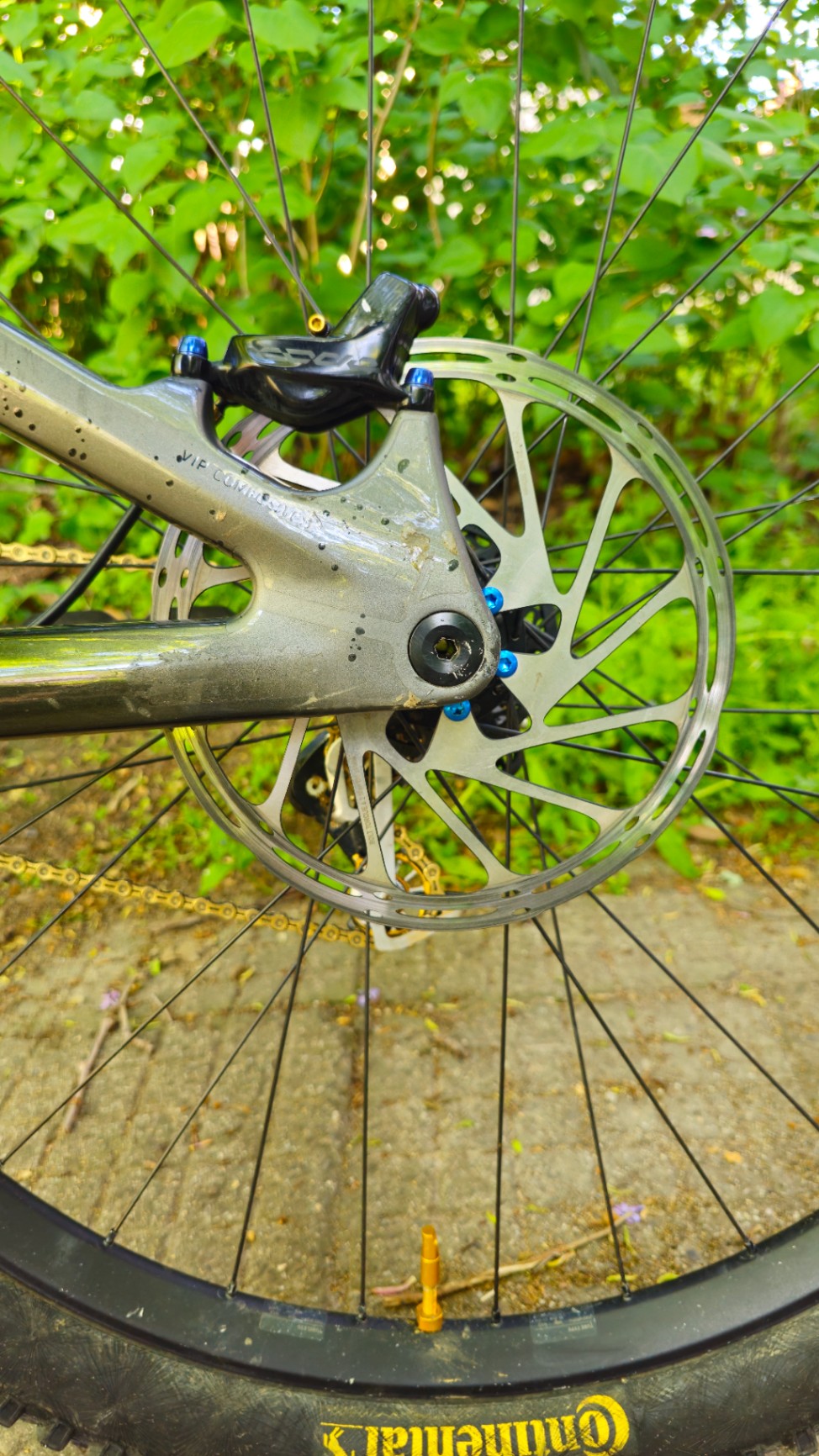 Bike view 9