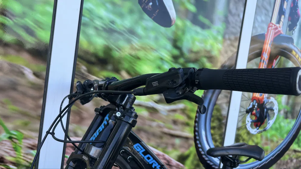 Bike view 9