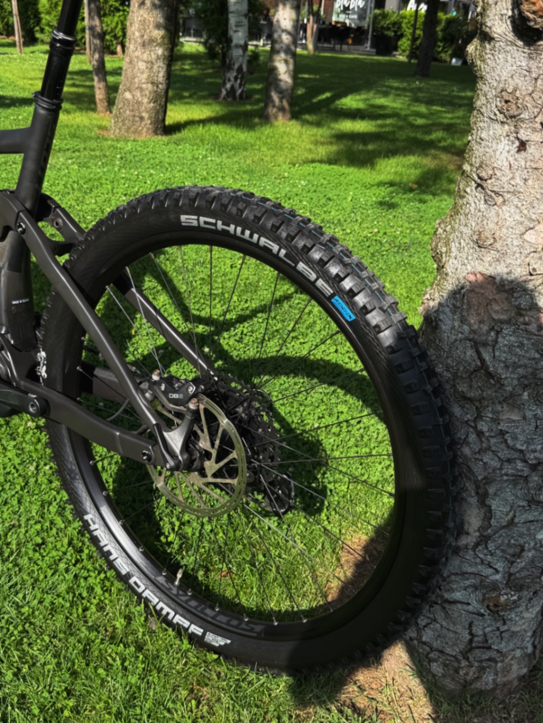 Bike view 10