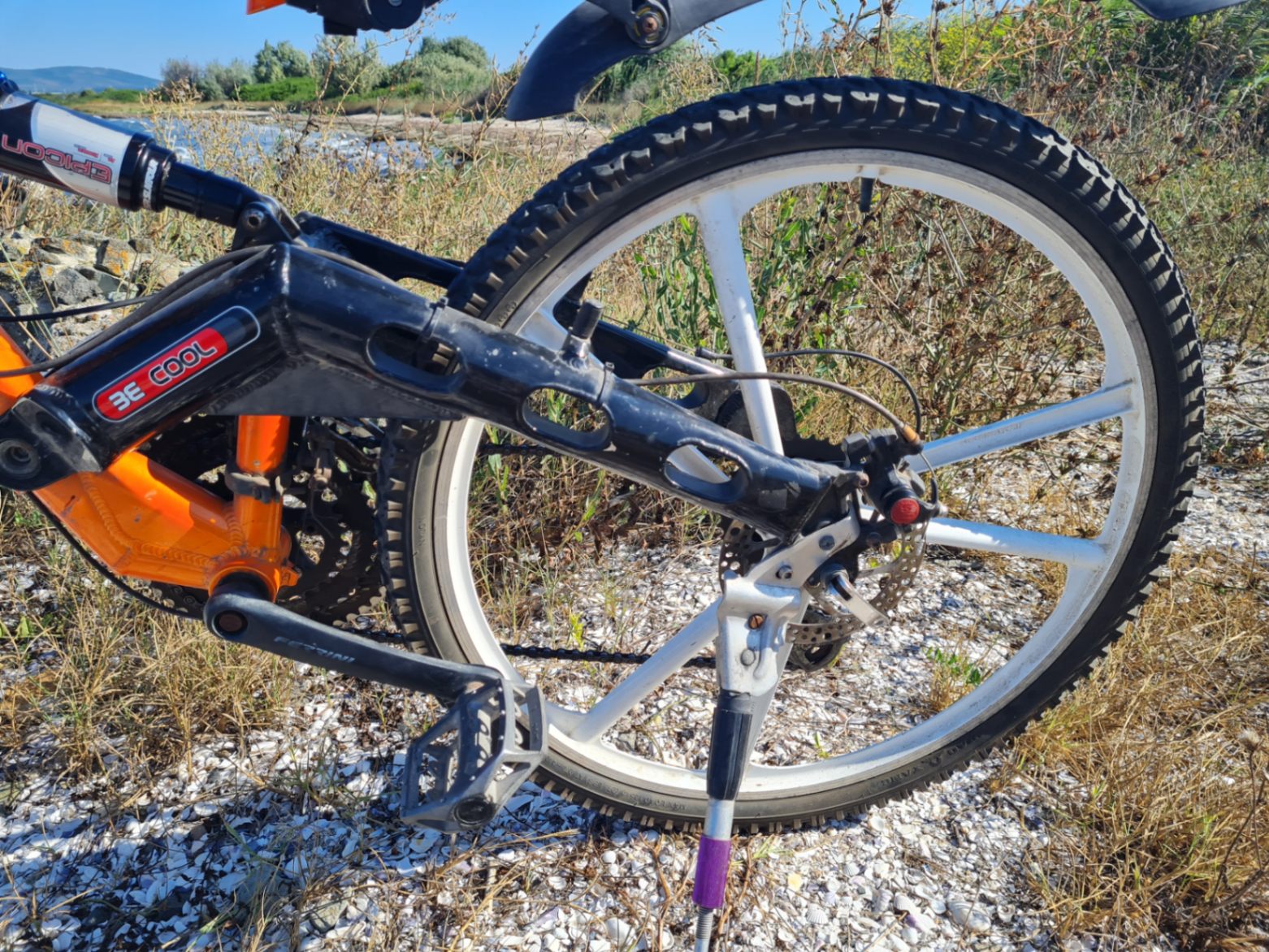 Bike view 7