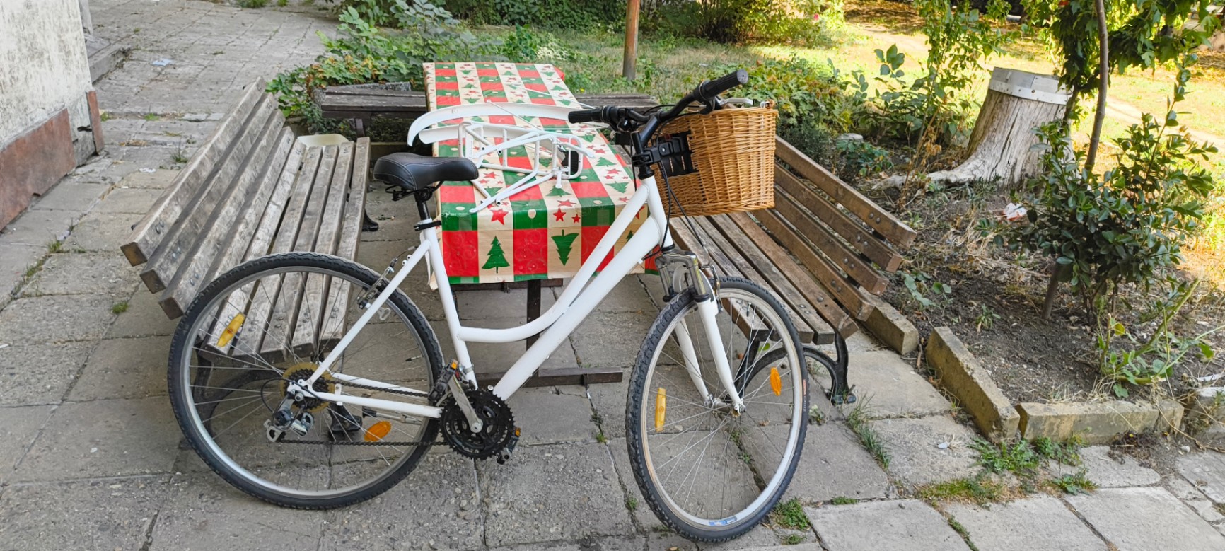 Bike view 2