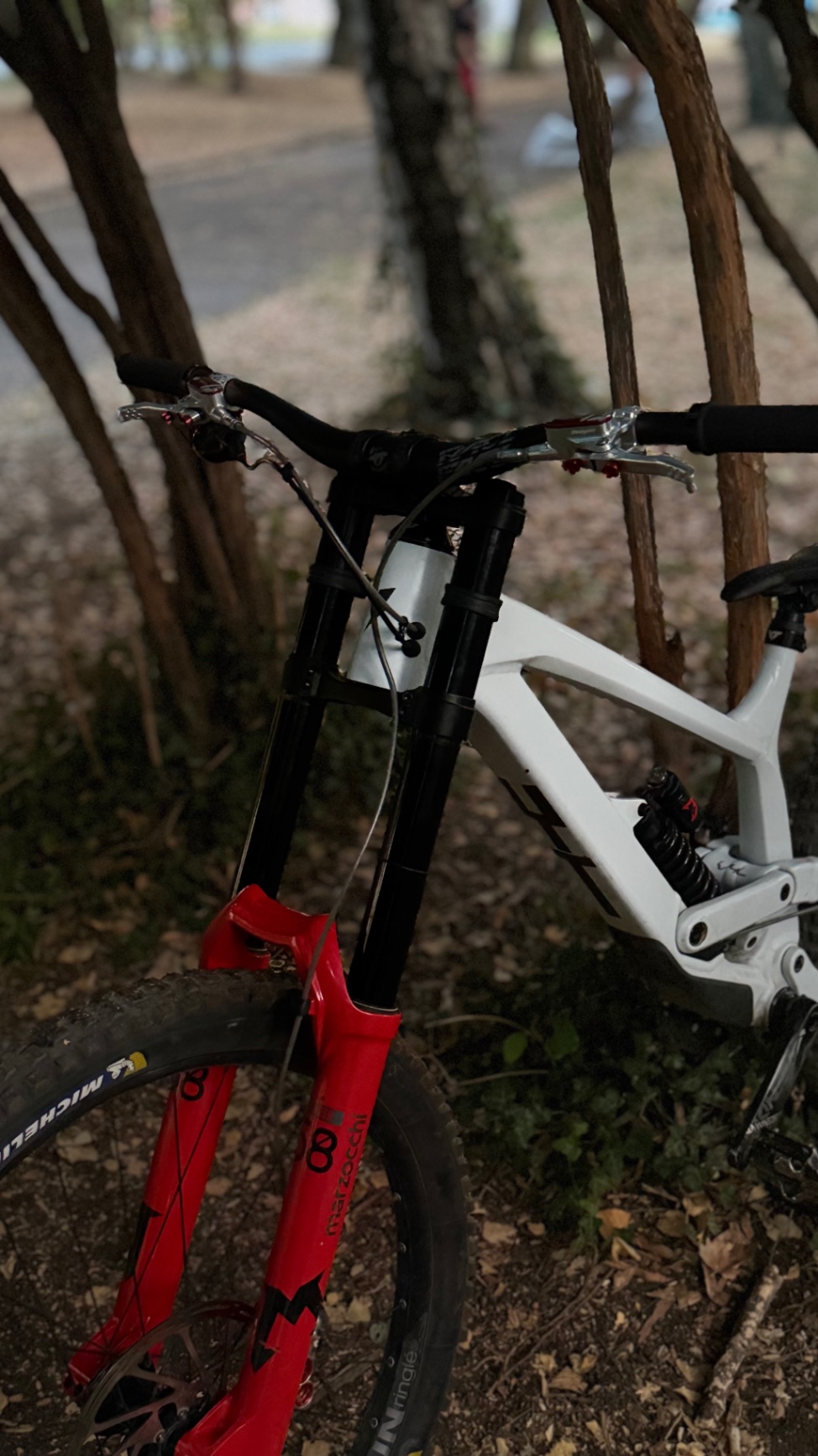 Bike view 8