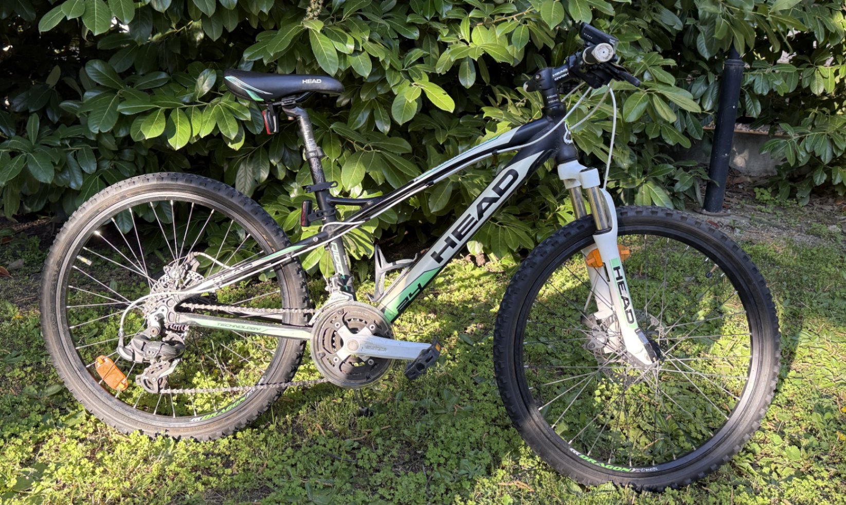 Bike view 6