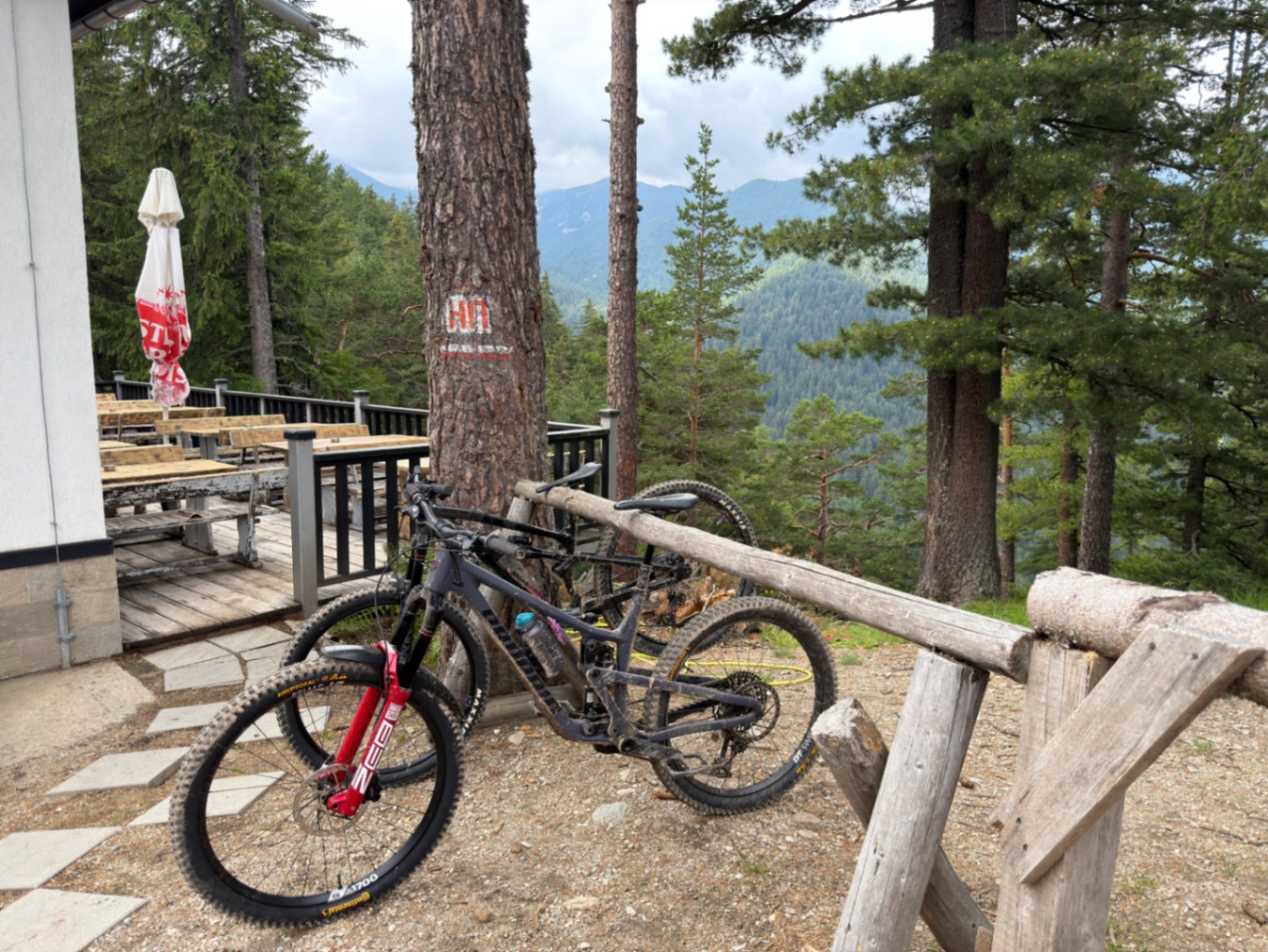 Bike view 2