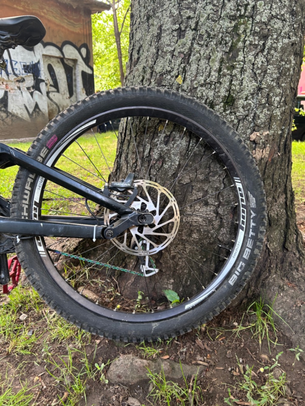 Bike view 4