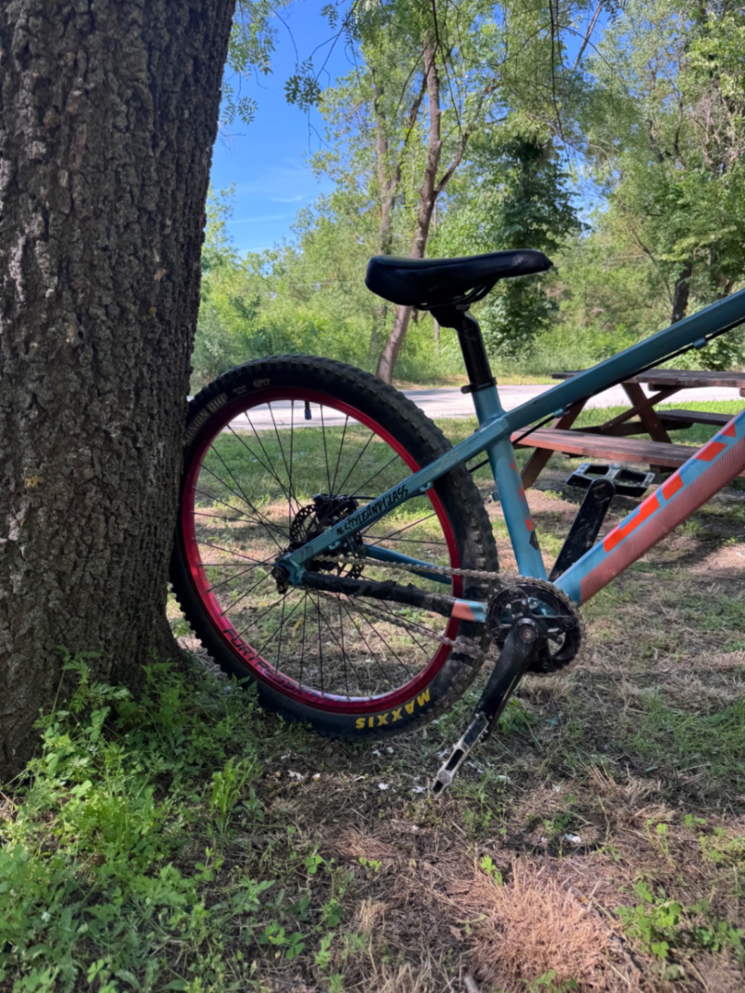 Bike view 6