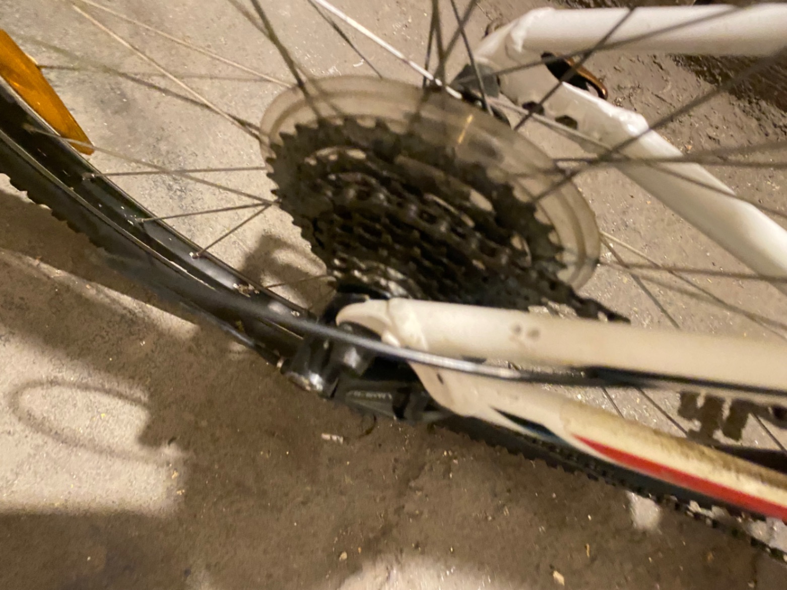 Bike view 7