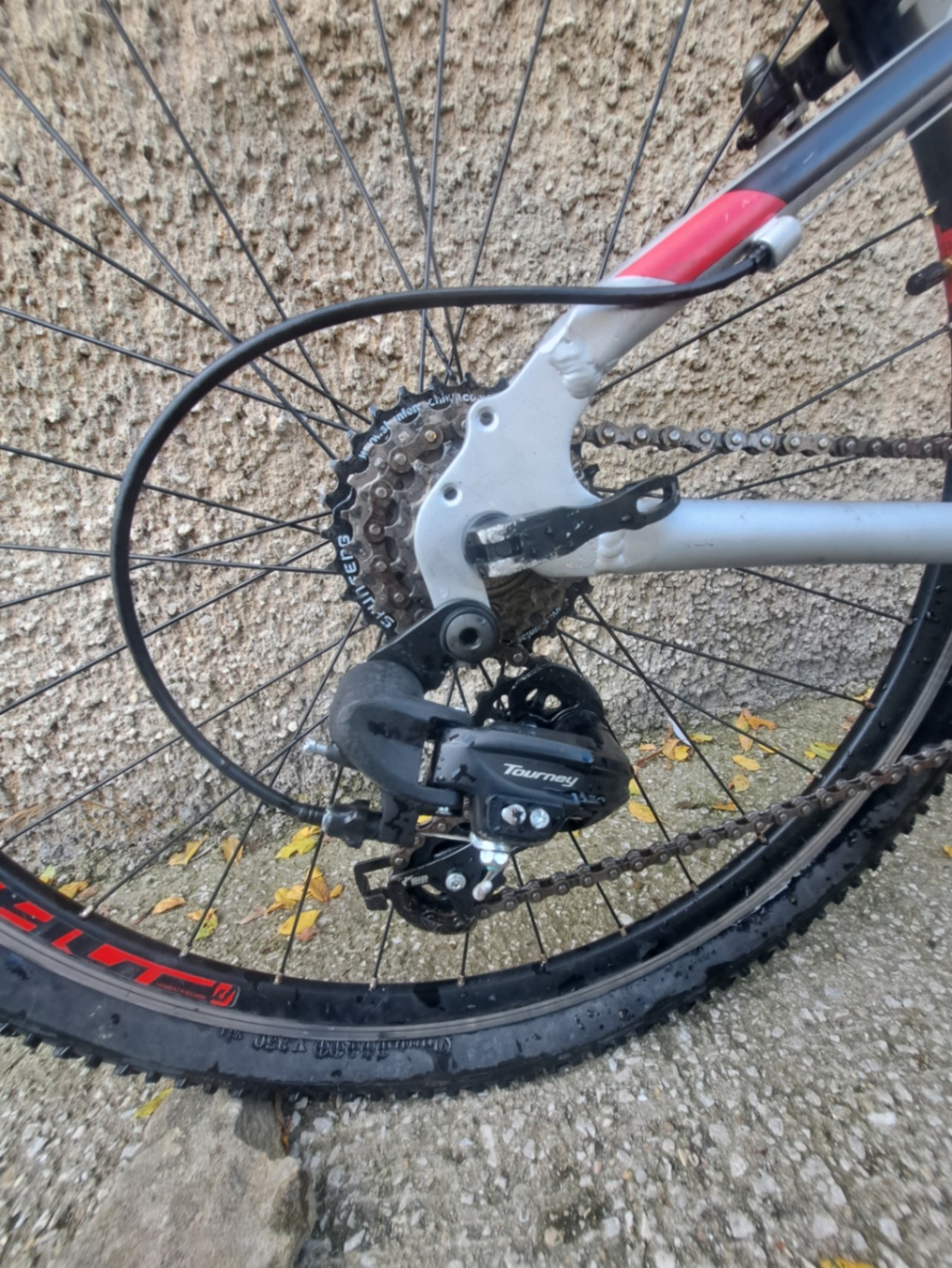 Bike view 2