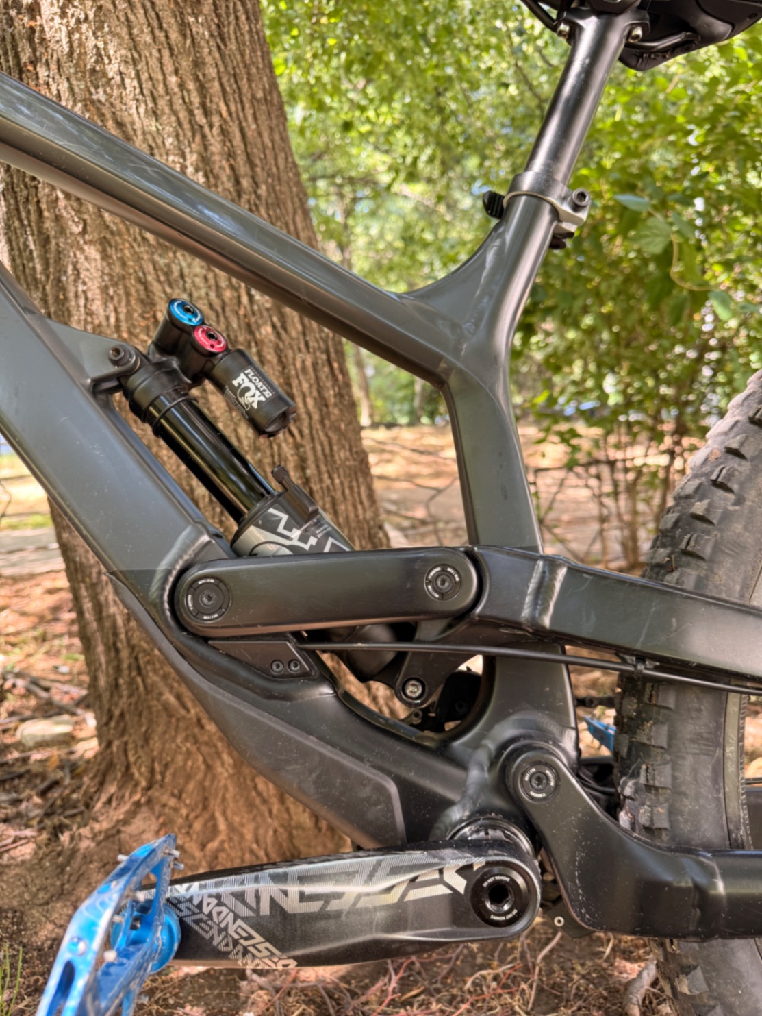 Bike view 7