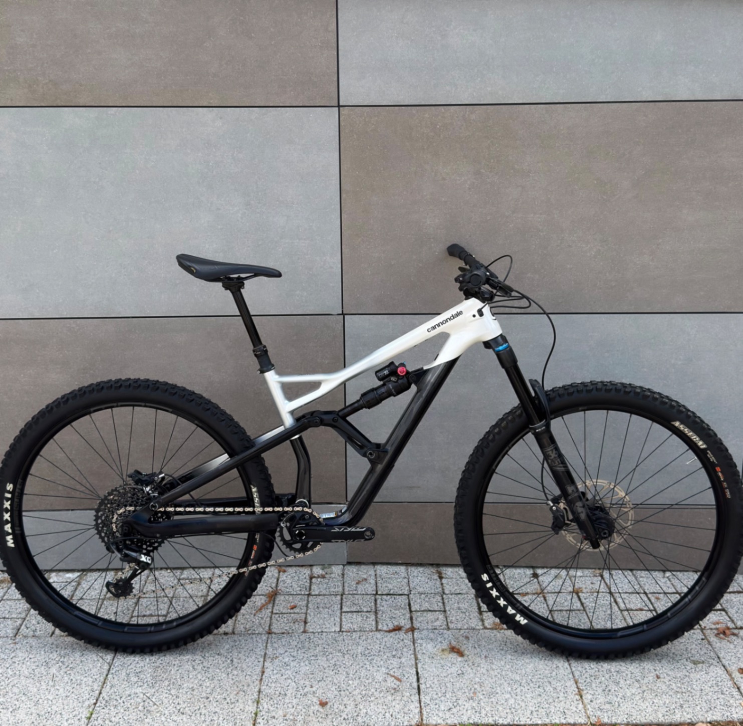 Cannondale Jekyll Carbon 2 view 2