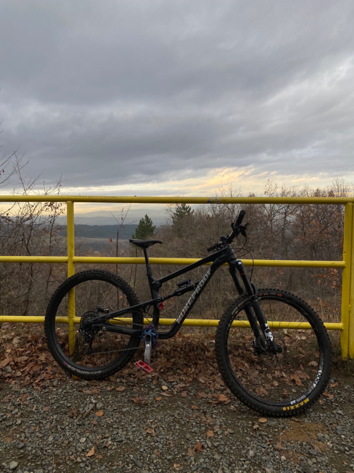 Nukeproof Mega 290AL Pro