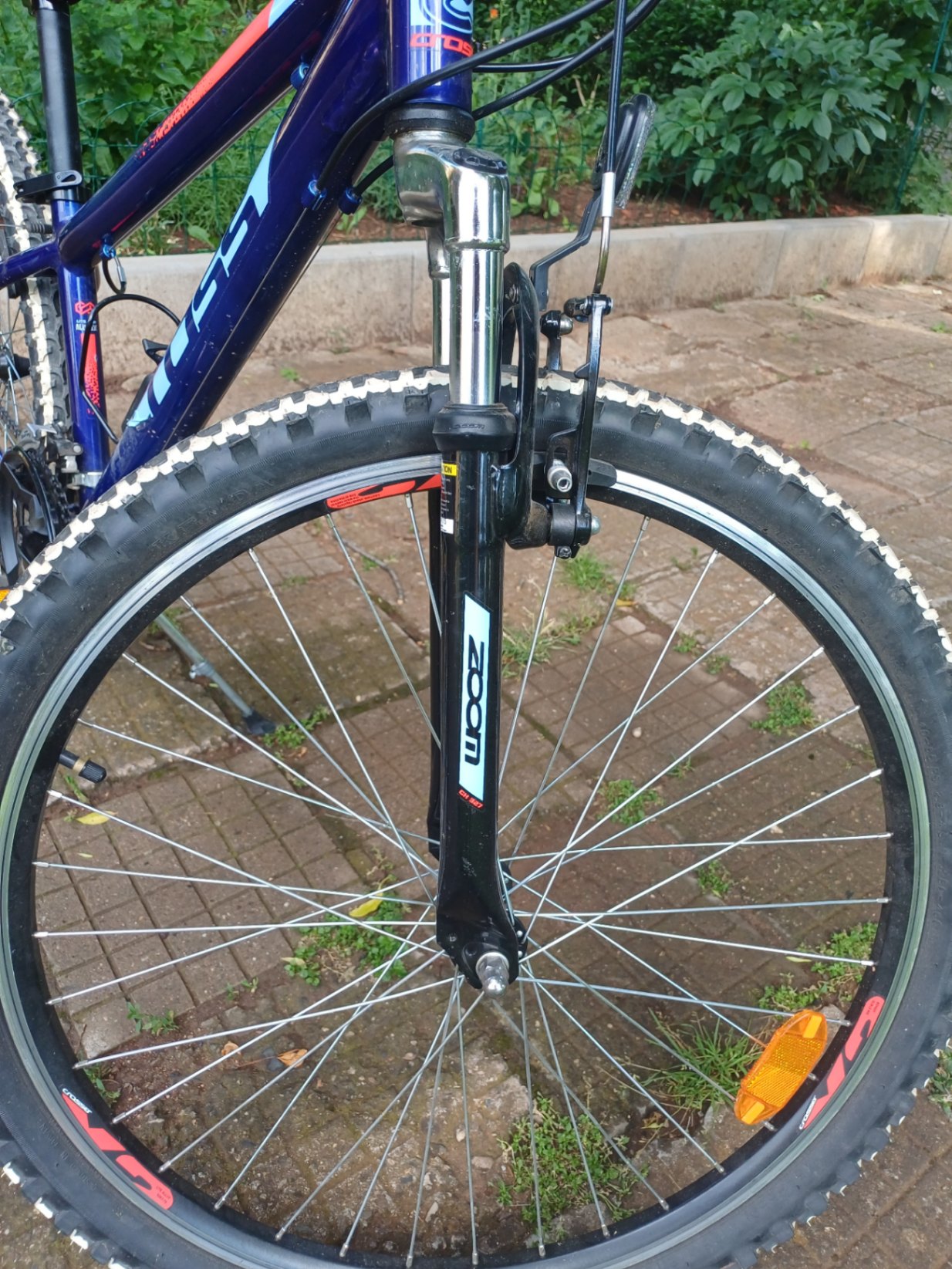 Bike view 5