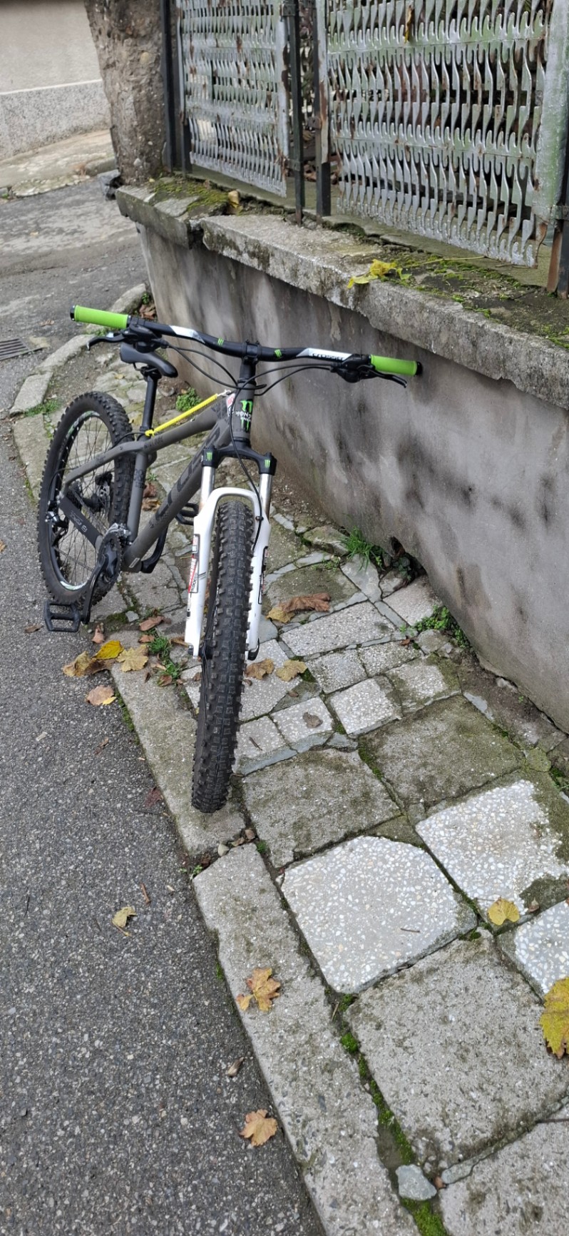 Bike view 6