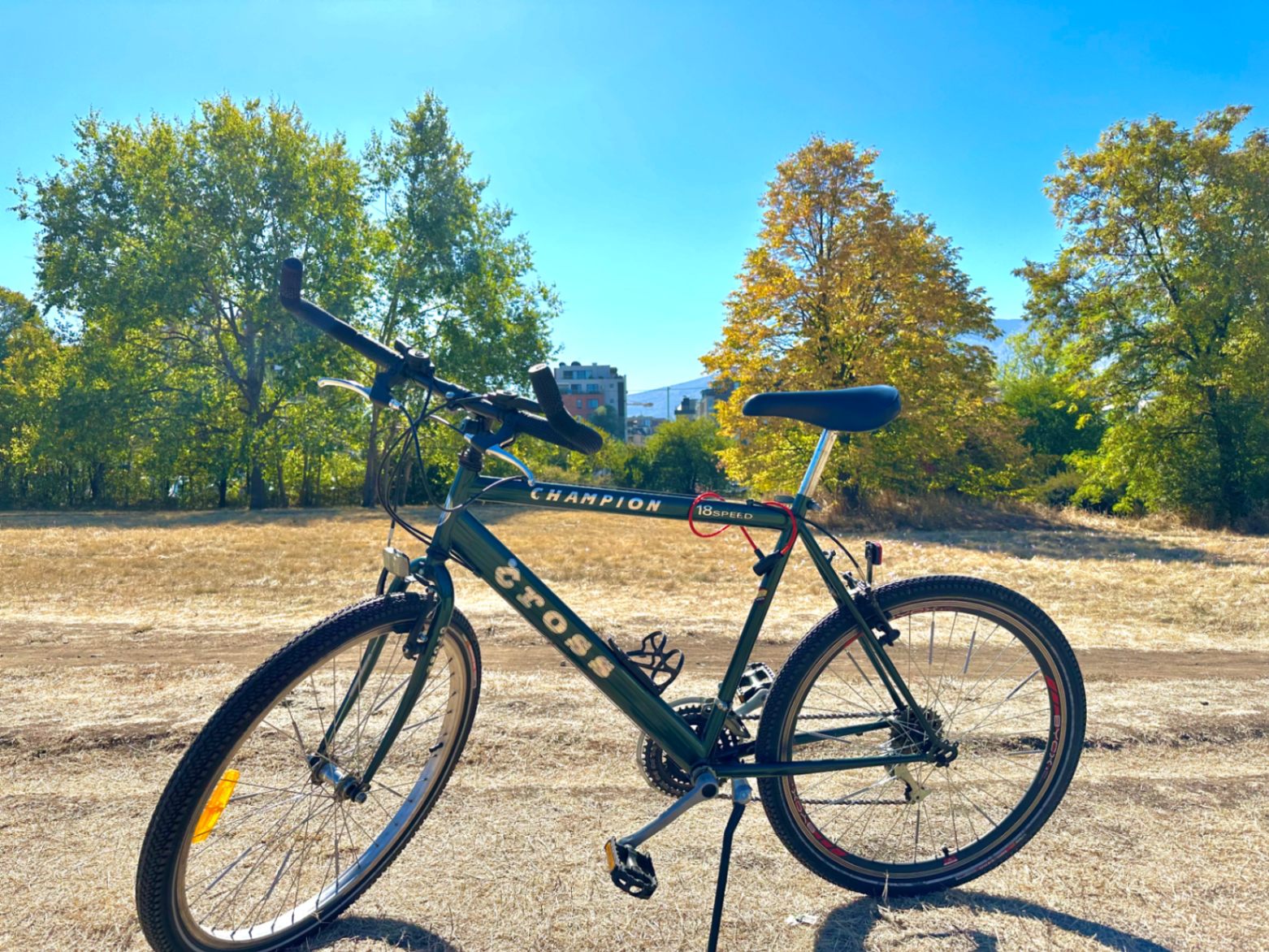 Cross champion