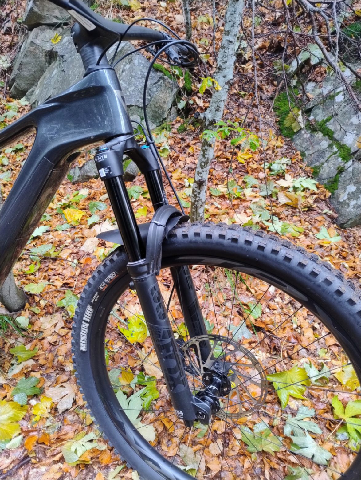Bike view 6