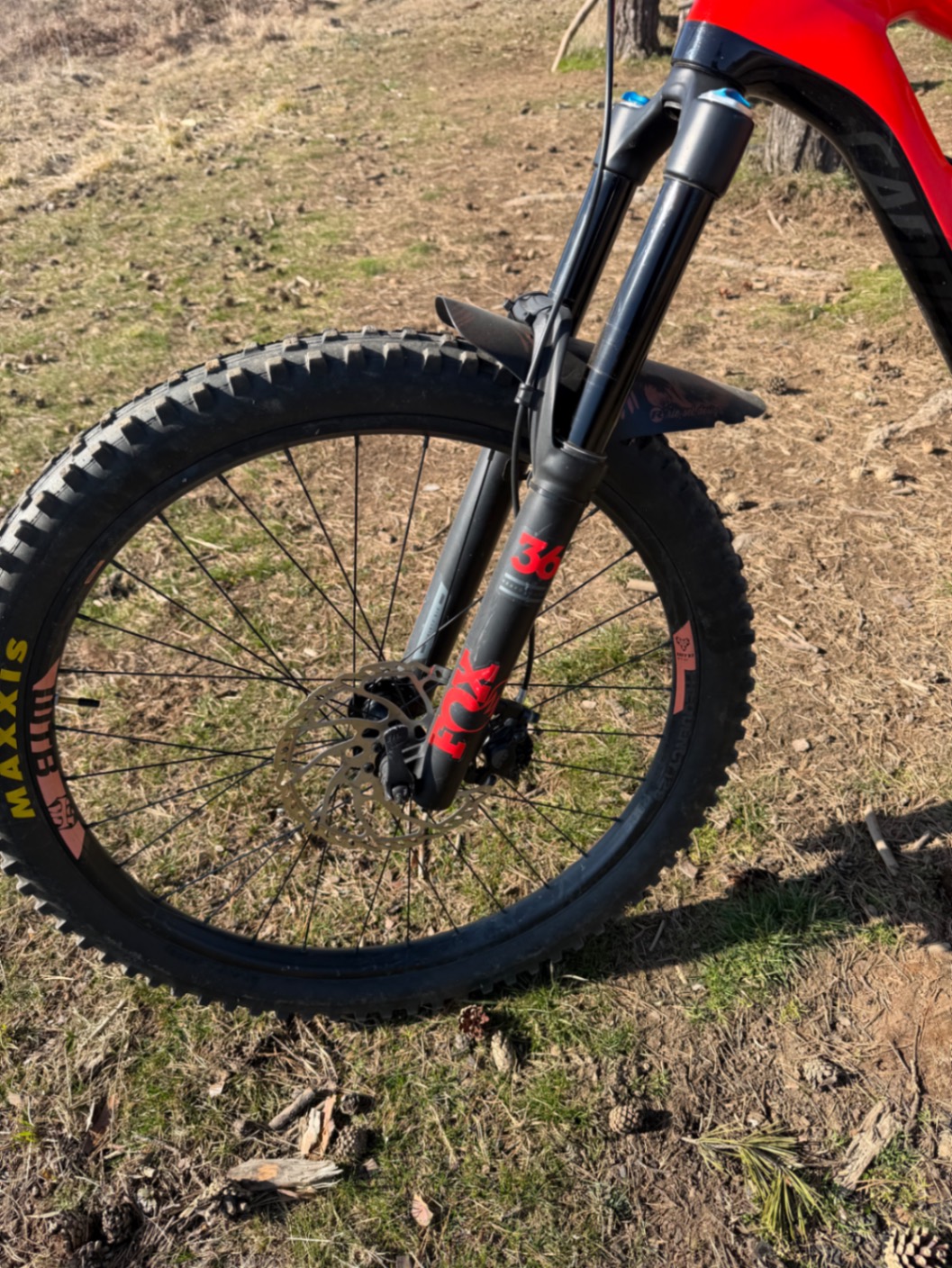 Bike view 5