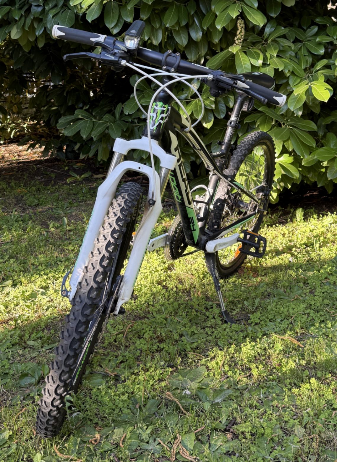 Bike view 5