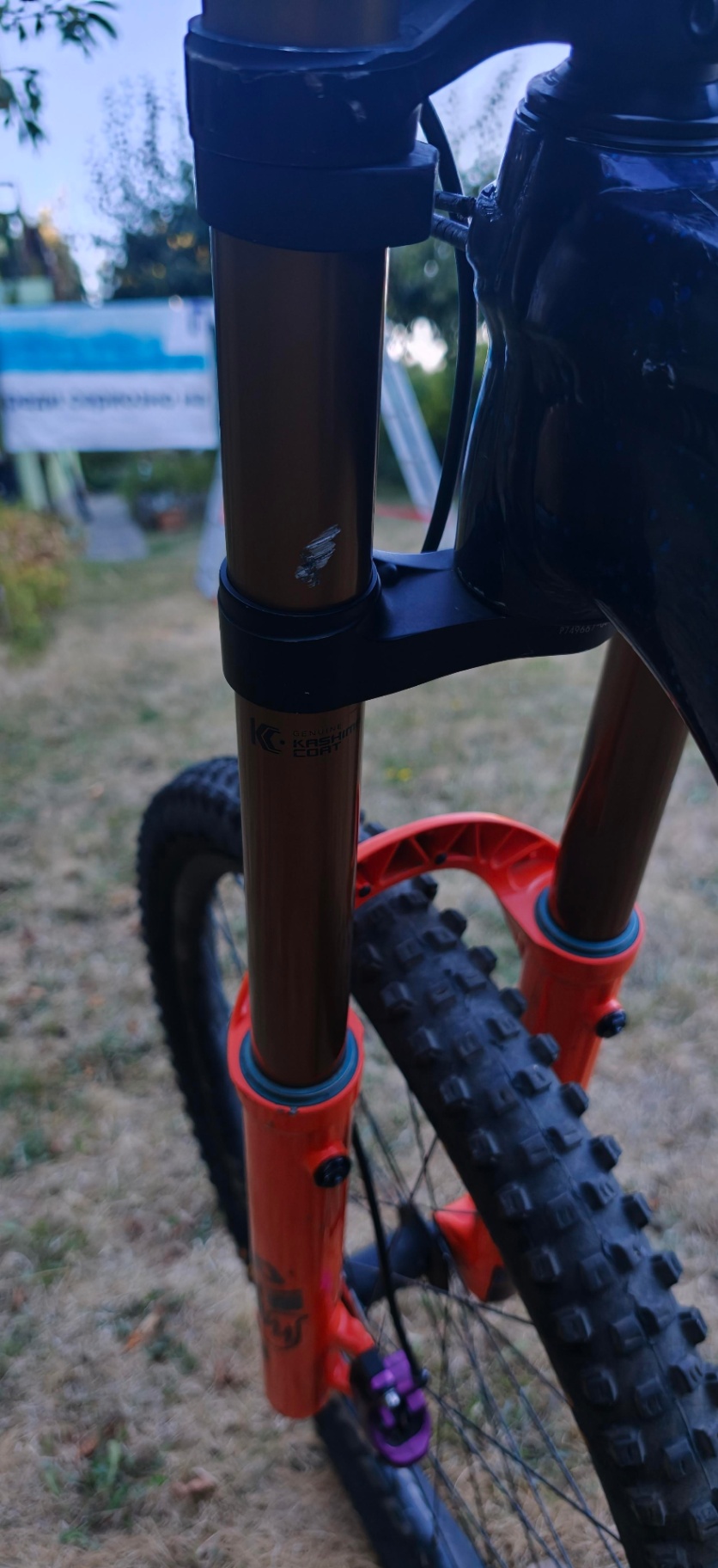 Bike view 8