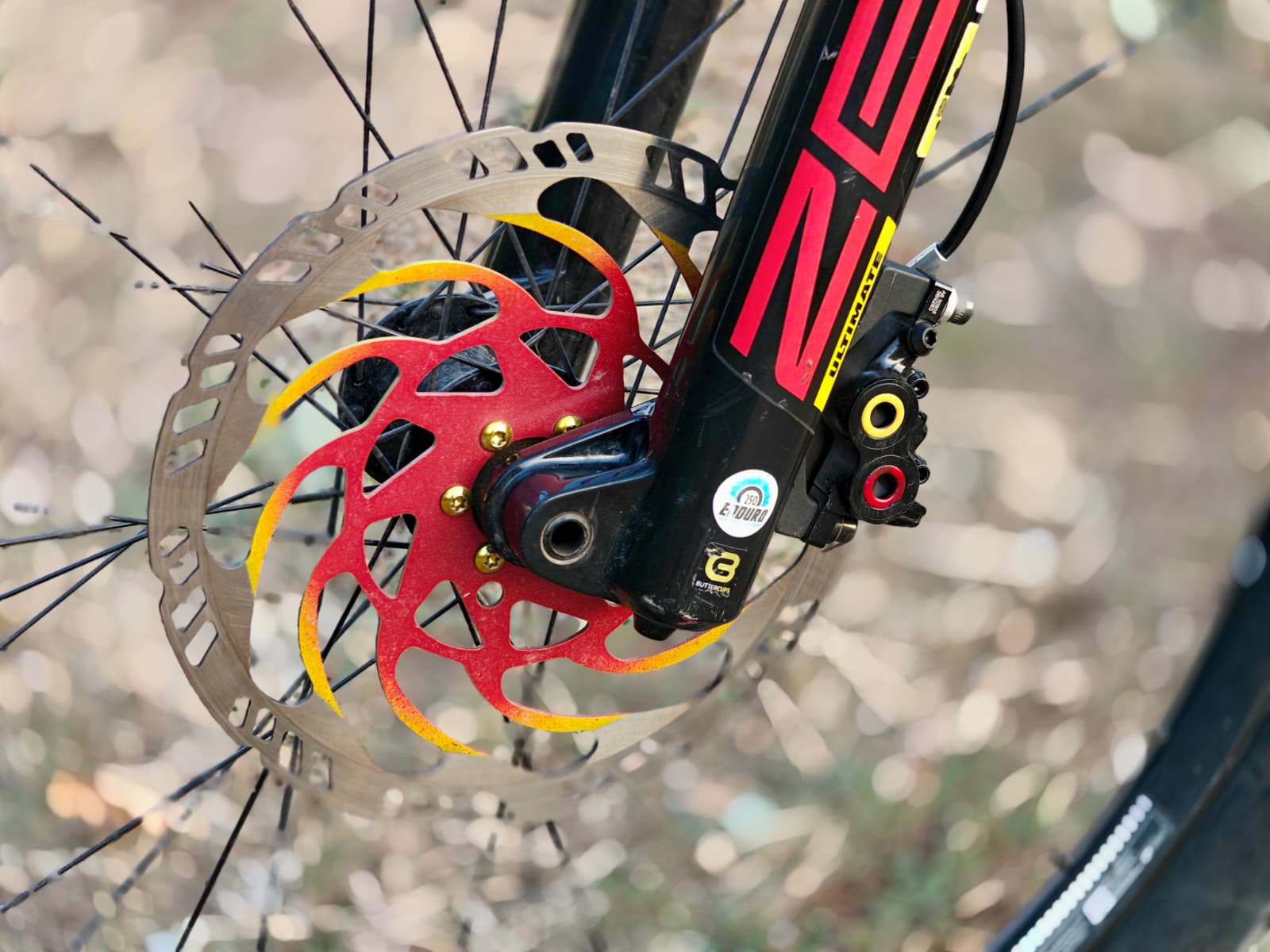 Bike view 11